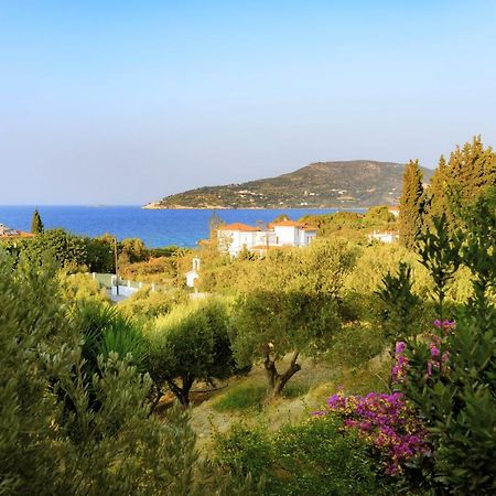 Kedros Hotel Samos Island Exterior photo